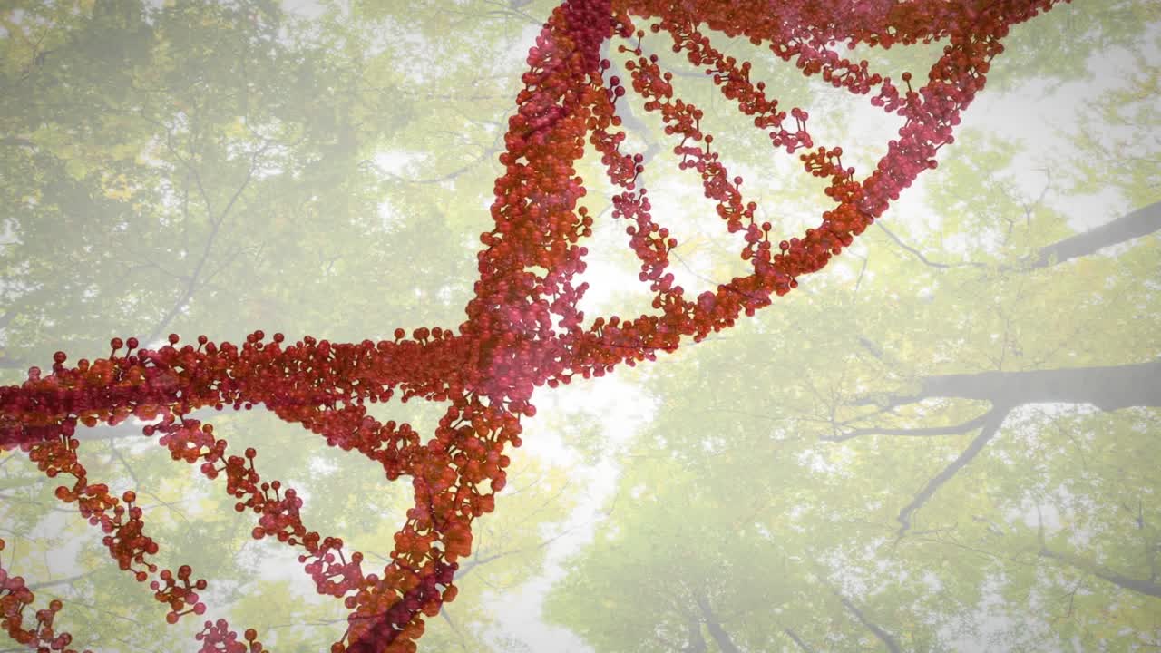 Ağaçların arasından süzülen güneş ışığı, DNA sarmalının dönmesini ve süzülmesini tetikleyerek yapısını ortaya çıkarıyor.