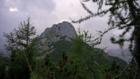 Footage-filmed-on-a-gimbal-of-a-beautifull-mountain-hading-forward-filmed-true-trees-and-plants-with-slow-forward-movement,-in-cloudy-weather