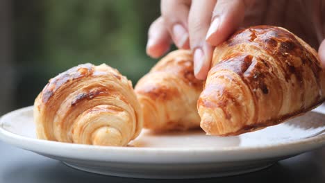 fresh baked croissant on plate with copy space  high quality photo