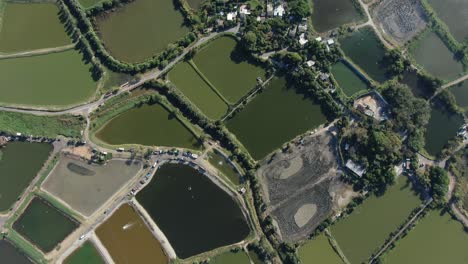 mai po nature reserve and wetlands, hong kong, aerial view