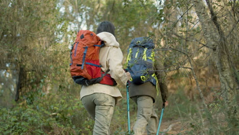 back view of young couple walking along tourist trail 1