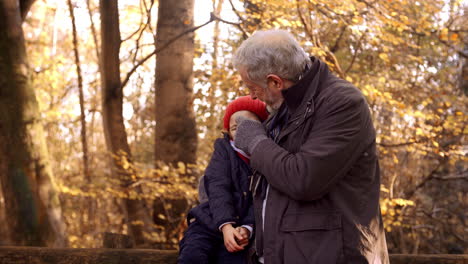 granddaughter on autumn walk with grandfather sits on fence