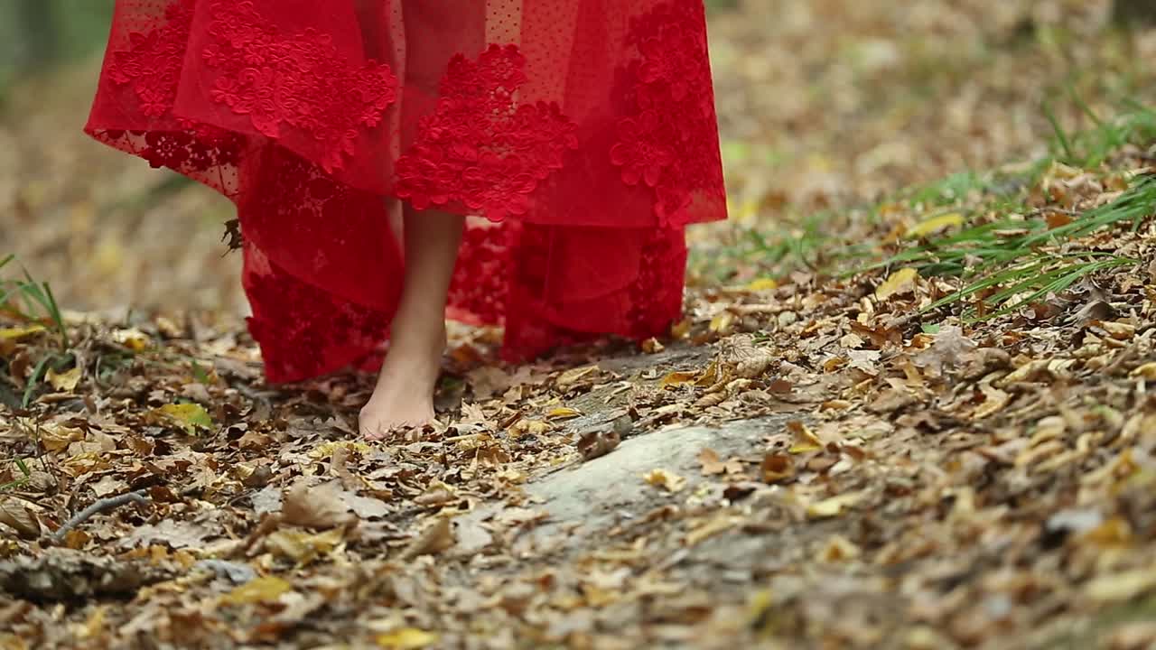 Pretty Woman Walking In The Forest. Pretty woman in a long red dress walking in the forest