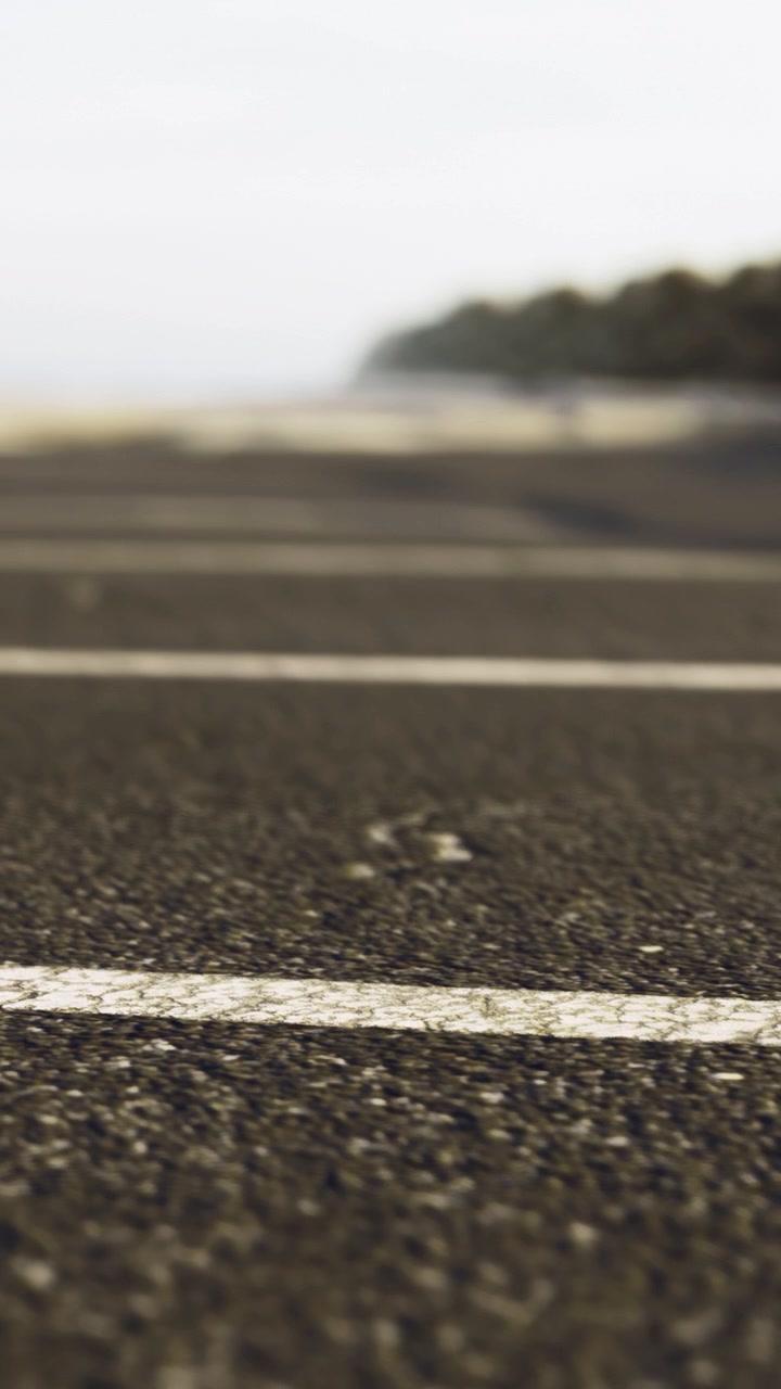 Road surface with painted lines in a distant landscape near trees