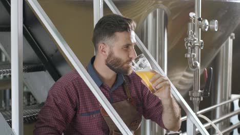 young brewer wearing a leather apron is tasting beer at a modern brewery