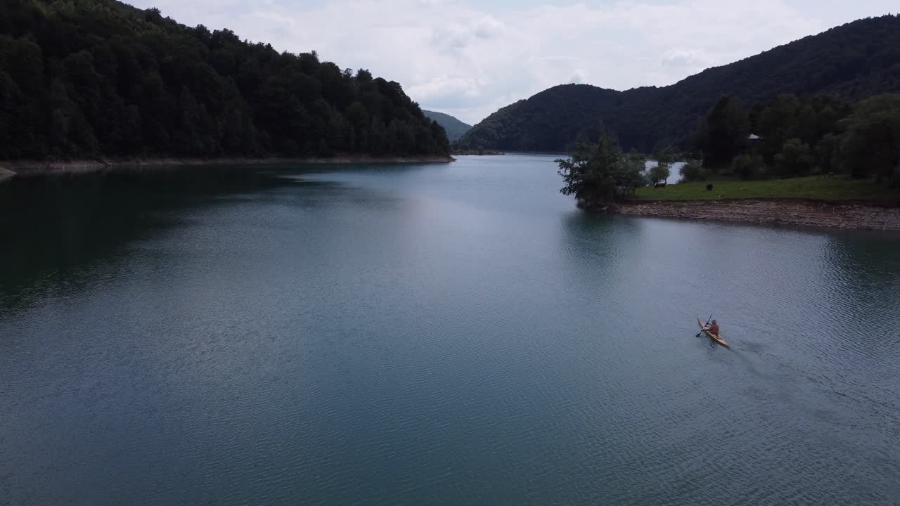 Aerial forward moving shot of kayaker paddling along the green lands where herds live and eat near the Paltinu lake of Doftana Valley in Romania