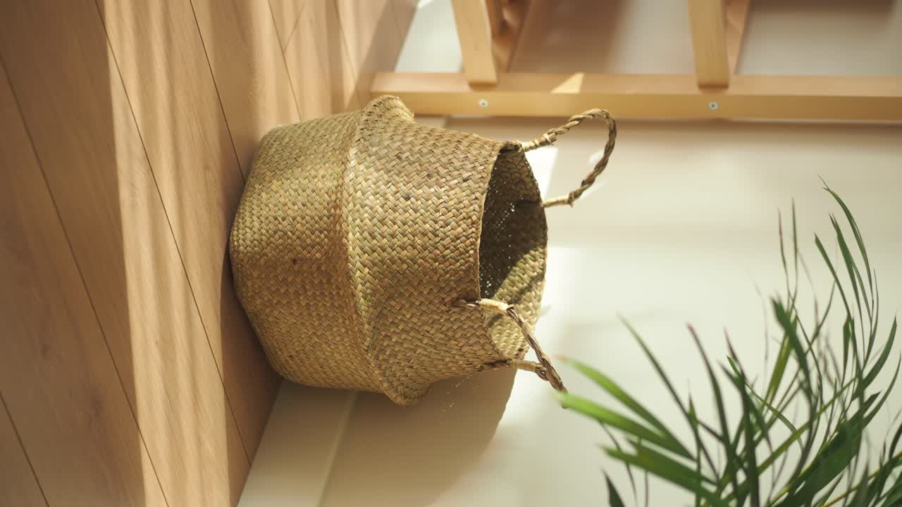 Indoor Decor with Woven Baskets and Plants