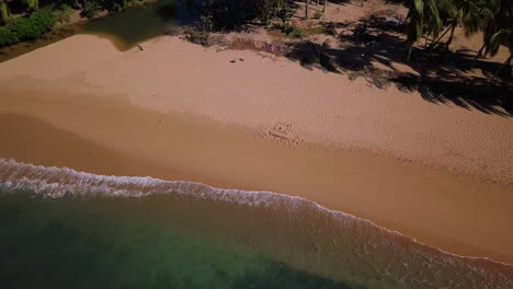 Aerial,-flying-away-from-an-empty-sand-beach-with-palm-trees