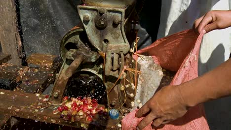 quitar la pulpa de las cerezas de café
