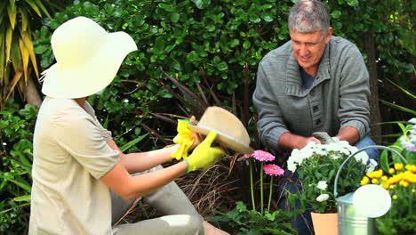 Pareja-Poniéndose-Sus-Sombreros-Y-Guantes-De-Jardinería-