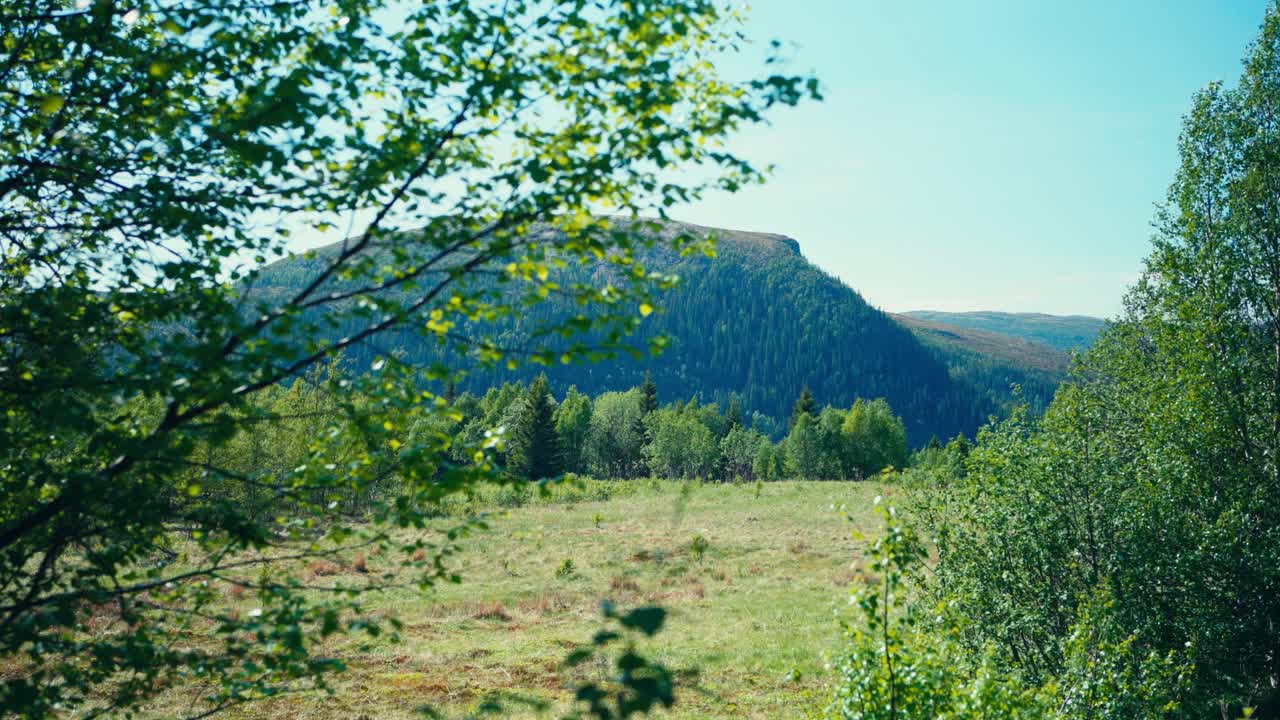 산책 경로를 가로질러 은 날에 숲과 산의 평화로운 장면