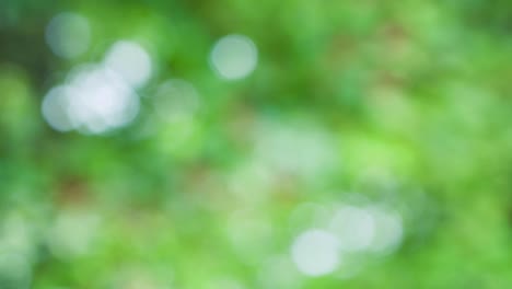 Abstract color background with bokeh motion