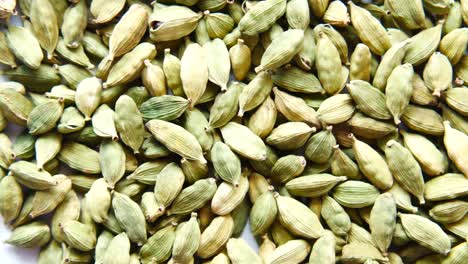 dried green cardamom pods