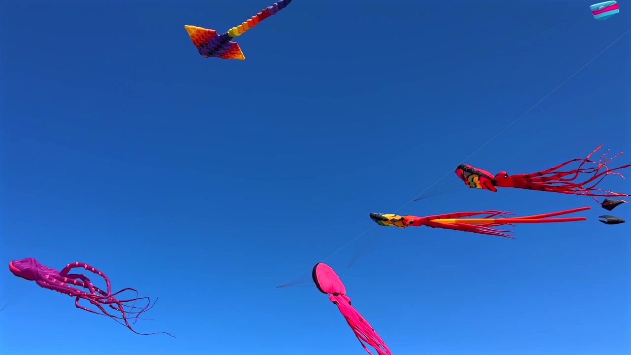 Aquiloni a forma di polpo colorati che volano in un cielo azzurro limpido