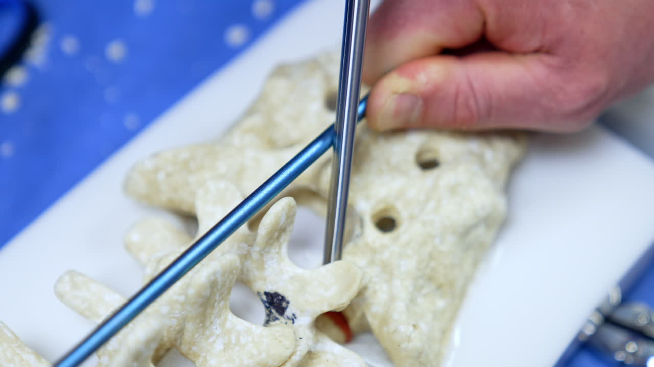 Dummy of spine with the tools applied to it. Educators demonstrating the usage of modern instruments during neurosurgical operation.