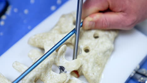 dummy of spine with the tools applied to it. educators demonstrating the usage of modern instruments during neurosurgical operation.