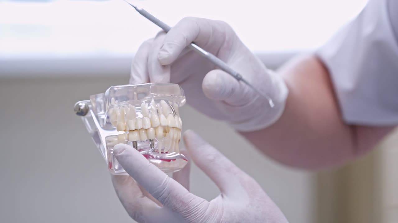 Oral hygiene demonstration. Close up of dentist showing jaw model