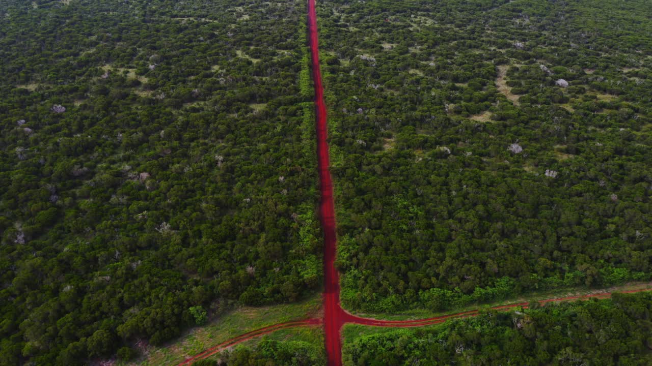 la cámara del dron recorre el sinuoso camino de tierra roja, captando la exuberante vegetación y las pintorescas vistas de la vegetación tropical baja a medida que avanza durante un día nublado