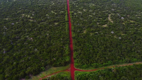 la cámara del dron recorre el sinuoso camino de tierra roja, captando la exuberante vegetación y las pintorescas vistas de la vegetación tropical baja a medida que avanza durante un día nublado