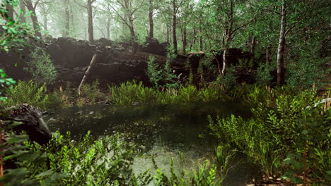Waldfrühlingslandschaft-Mit-überwuchertem-Teich