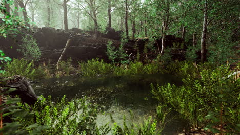 forest spring landscape with overgrown pond