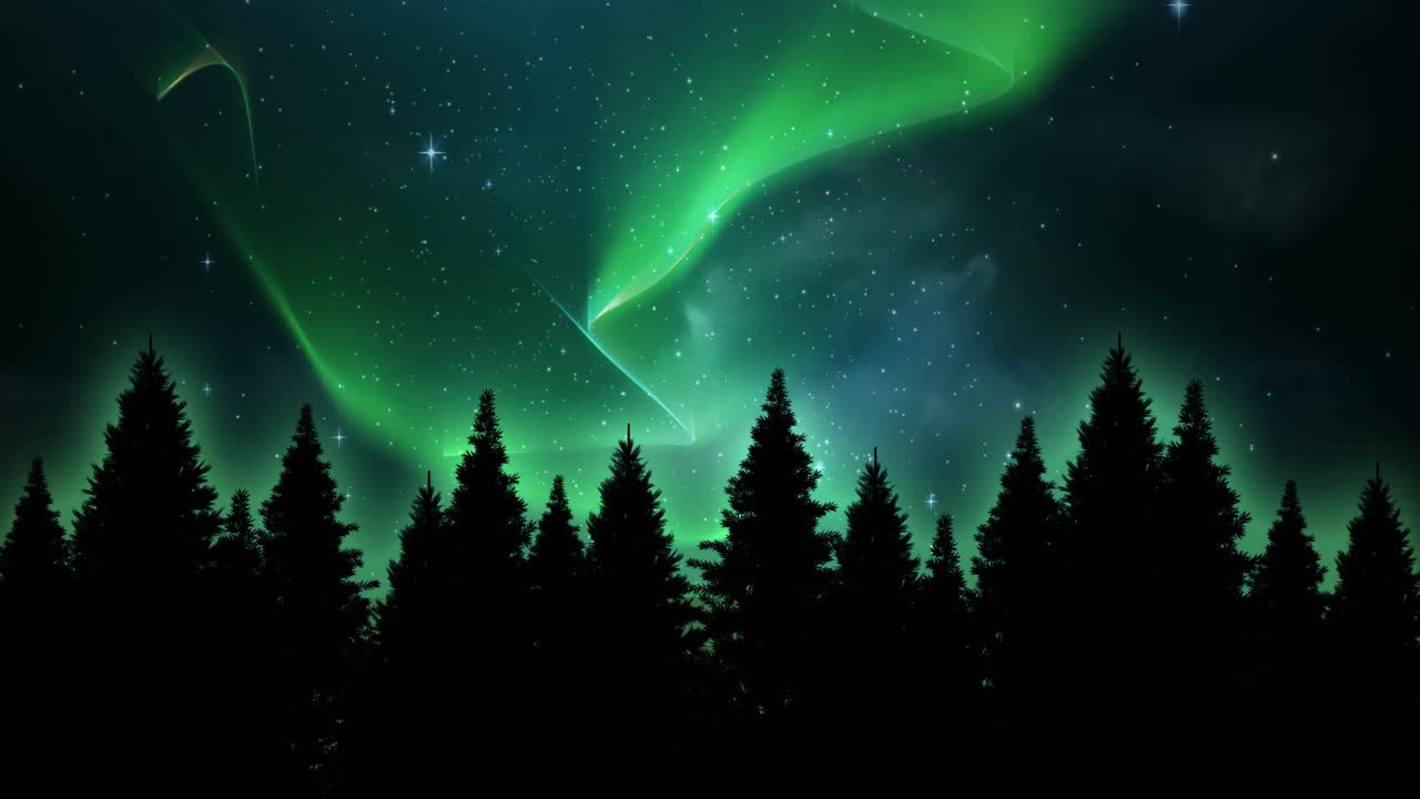 árboles cubiertos de nieve en un paisaje nevado