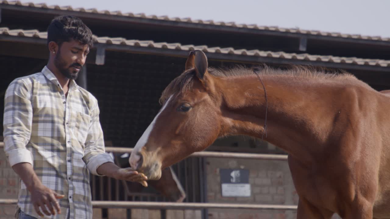 A slow-motion of South Asian man feeding a horse from his hand on a sunny day with rural building behind them