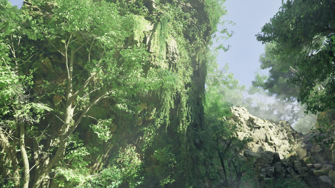 Lush greenery and dramatic rock formations in a serene forest location