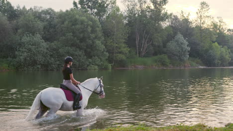 side view of a horse and his rider walking through a river, tracking shot