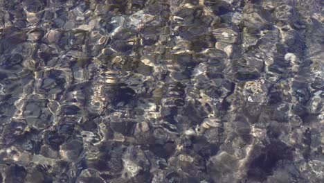 ripples on the transparent surface of the sea