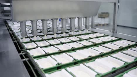 confectionery and bakery industry preparing dough and pastries