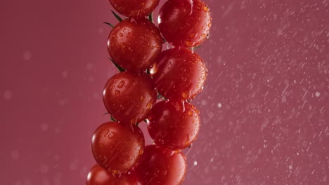 water droplets on cherry tomatoes