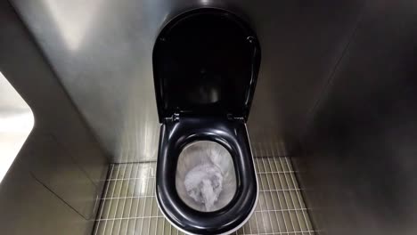 a toilet flushing in a milan restroom