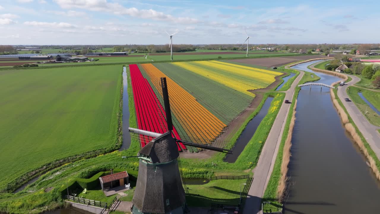 Veduta aerea di campi di tulipani in fiore e un mulino a vento che costeggiano un fiume con una barca.