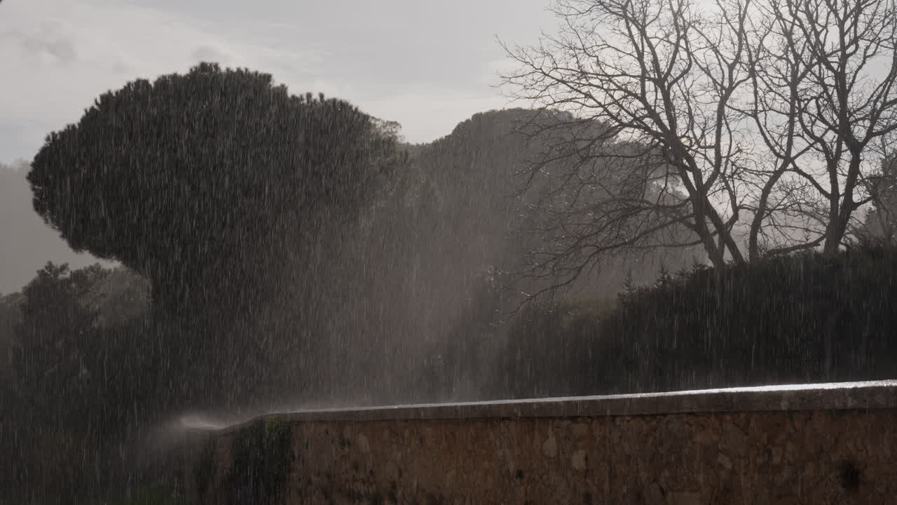 Heavy Rainstorm in a Park