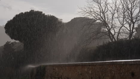 heavy rainstorm in a park
