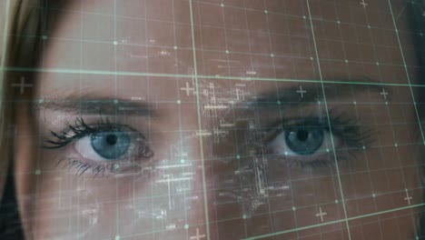 Data-processing-over-grid-network-against-close-up-of-female-eyes