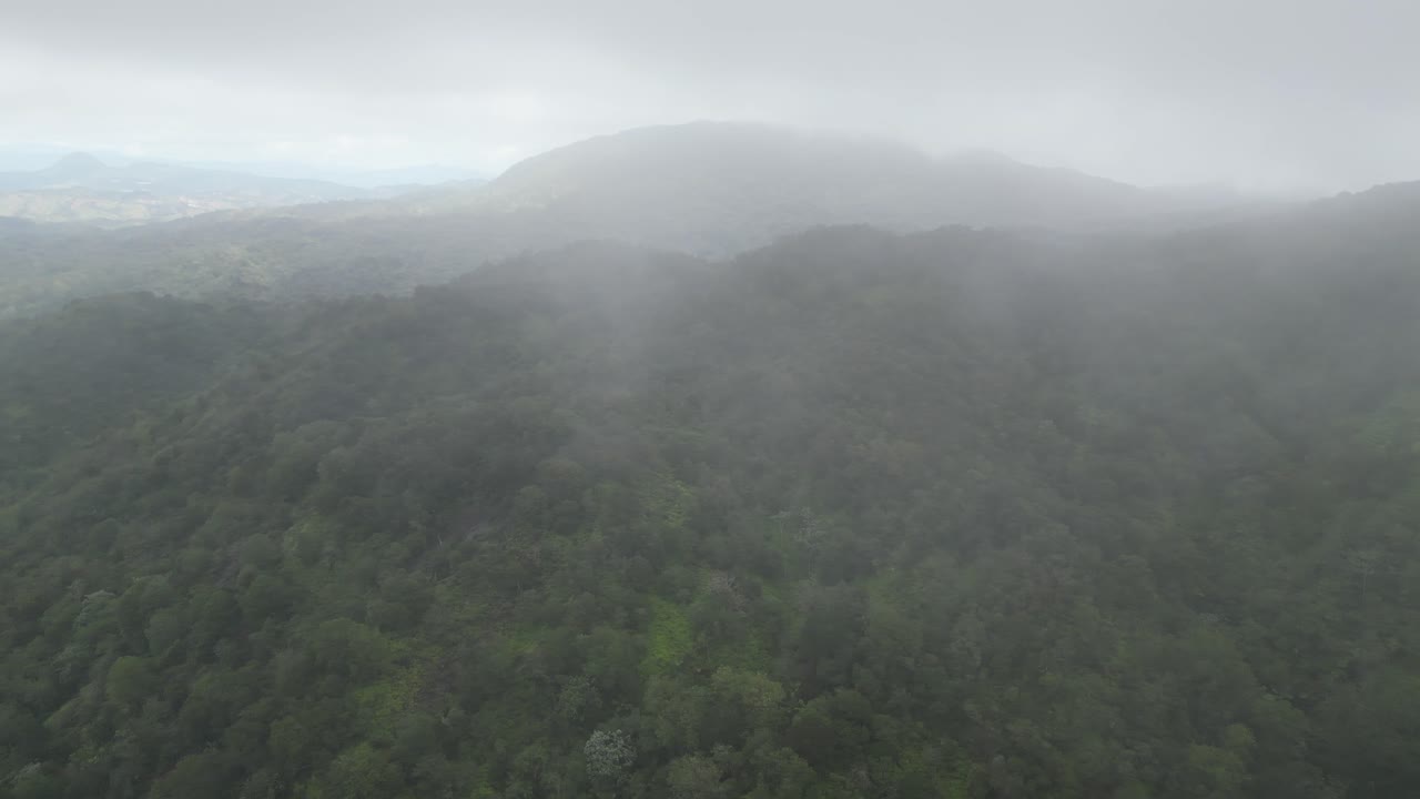 도미니카 공화국 중부 산맥의 콘스탄사 (constanza) 와 라 베가 (la vega) 사이에 있는 알토 데 라 버진 (alto de la virgen) 의 울창한 산맥의 공중 풍경.