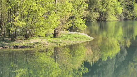 trees reflection on water the river herault south of france spring day