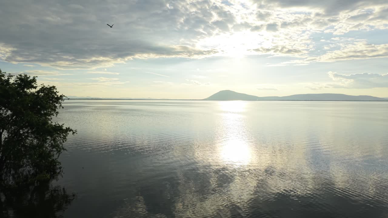 나무 가 있는 호수 위 에 해 가 지는 것