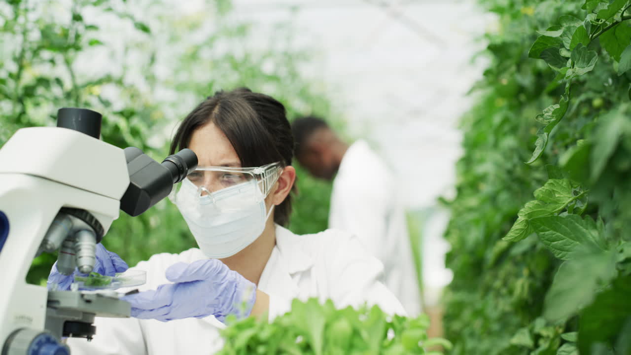 You gotta be sure what exactly you're dealing with