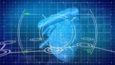 animation of network of connections over digital heart model