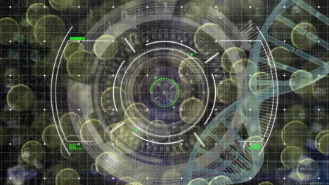 Animation of dna strand and data processing