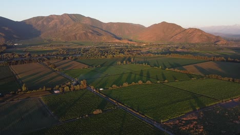 la imagen del dron muestra un viñedo en la región central de chile.