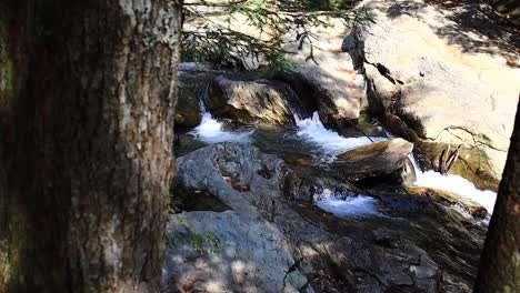 Arroyo-Que-Fluye-Fácilmente-En-Vermont-Desde-Detrás-De-Un-árbol