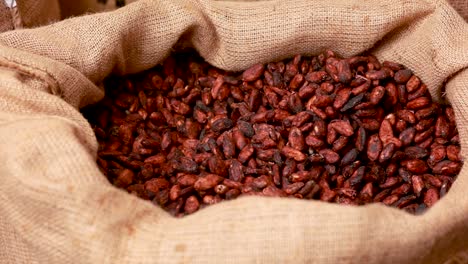 cocoa beans in burlap bag