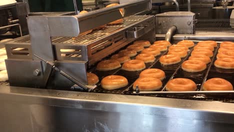 cientos de rosquillas cocinadas en aceite
