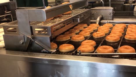 hundreds of ring doughnuts being cooked in oil