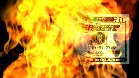 American-Dollar-Burning-