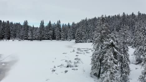 Frozen-lake-in-winter,-woods-covered-in-fresch-snow,-aerial-view,-Crno-jezero,-Black-lake,-Pohorje,-Slovenia